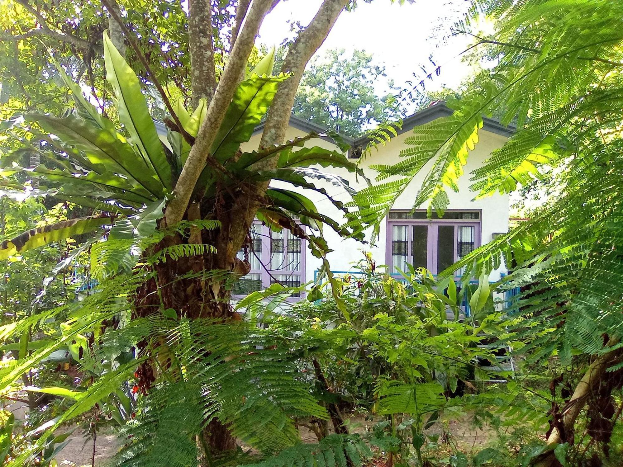 House 73 Hotel Unawatuna Bagian luar foto