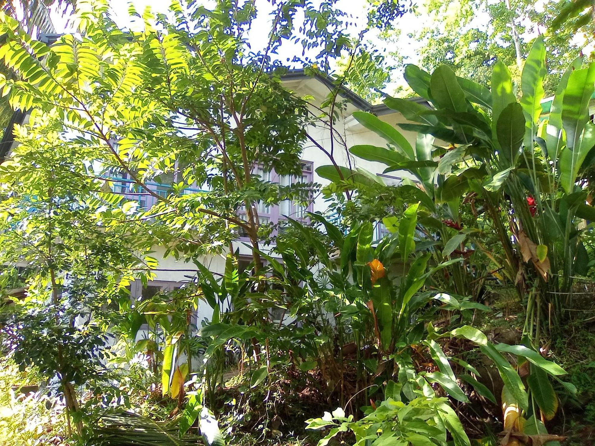 House 73 Hotel Unawatuna Bagian luar foto